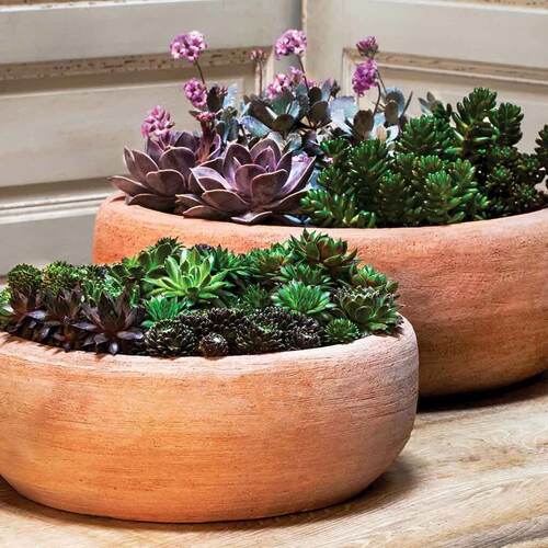 Which Fall Vegetables Are Best for Container Gardening?
