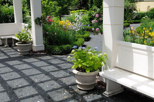 Container Gardening: Tips for Beginning Gardeners