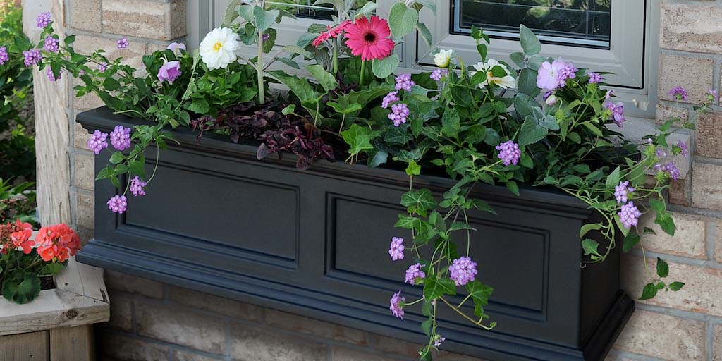 Window Box