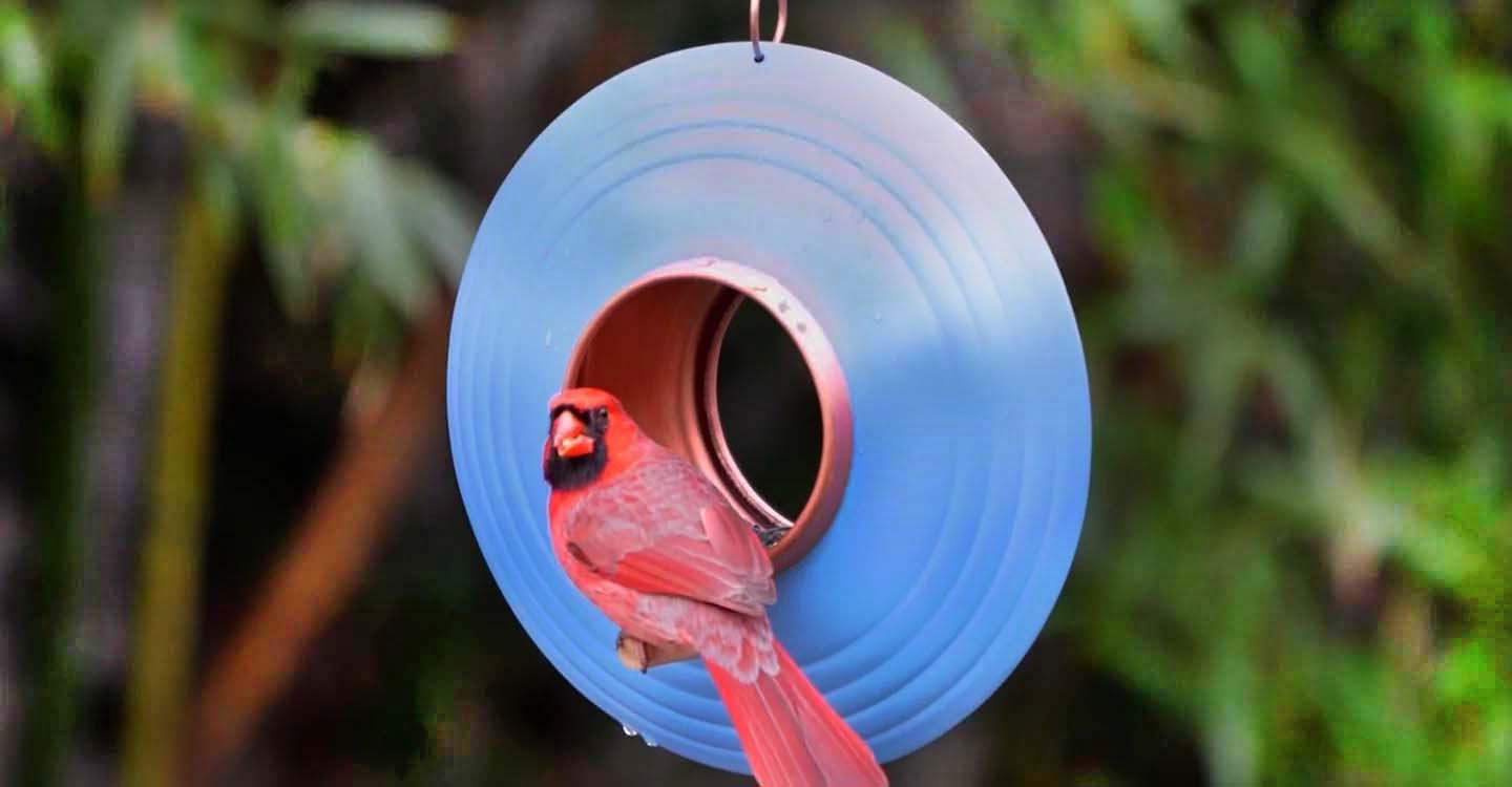 Garden Accents & Decor