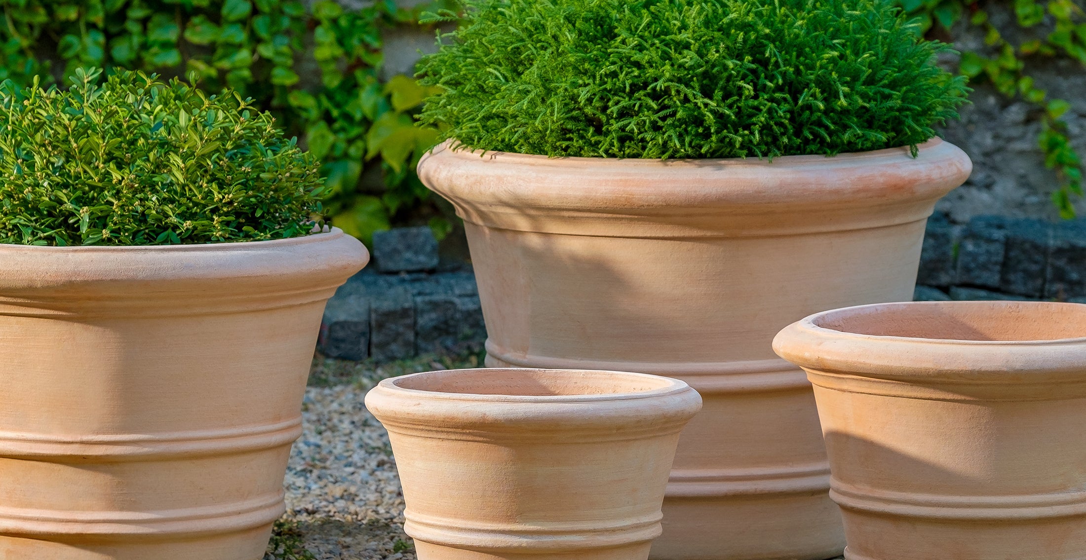 Planters