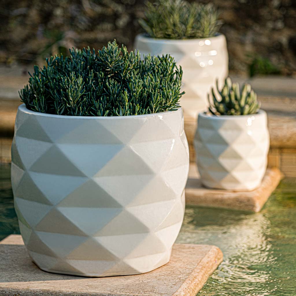 Origami Planter || Coco