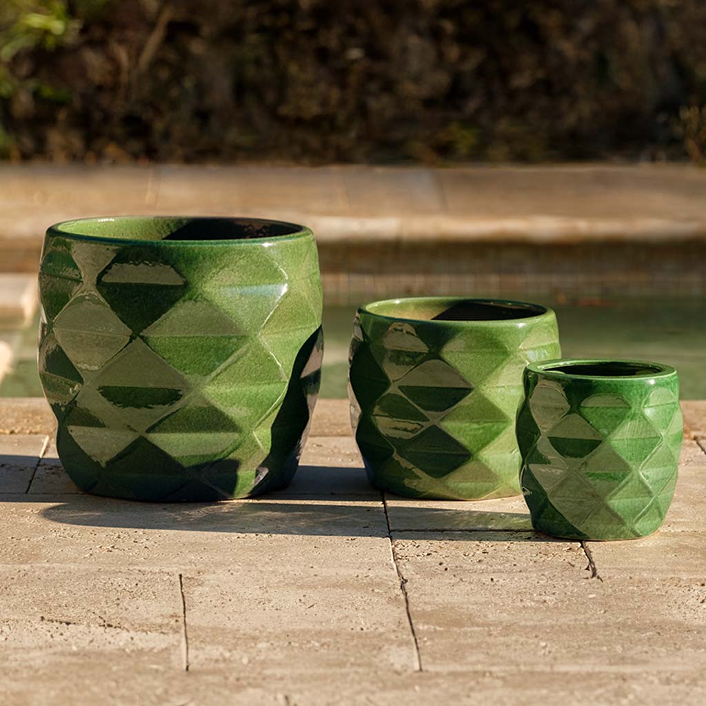 Origami Planter || Holly
