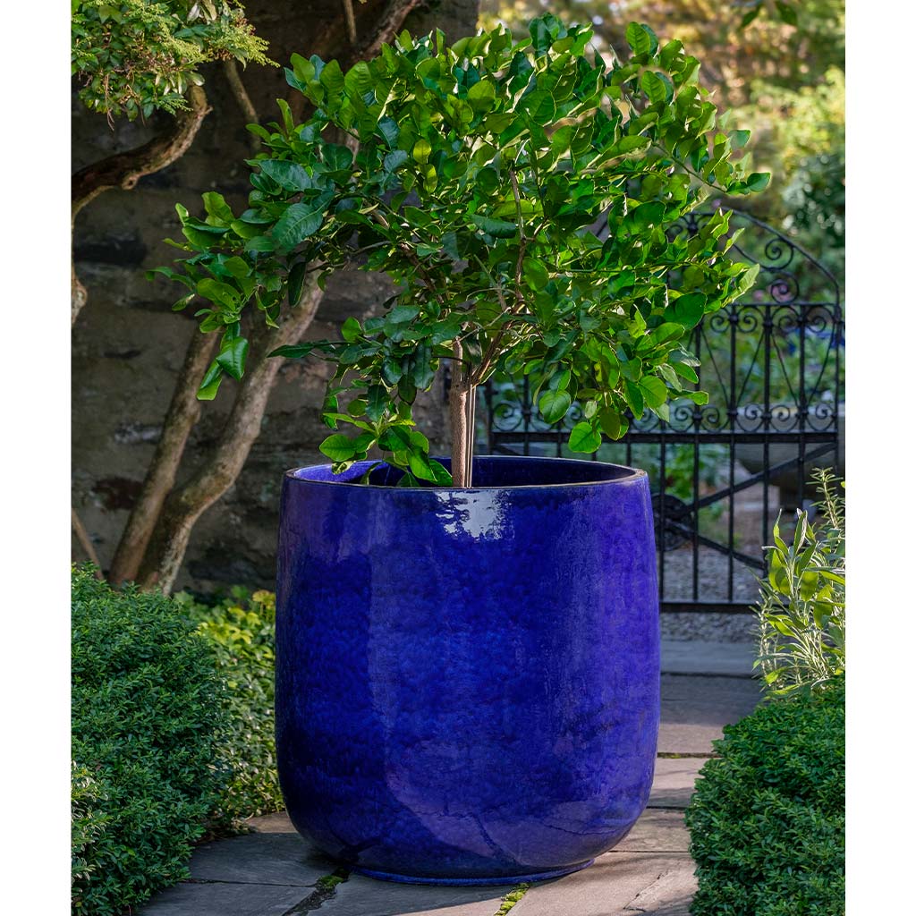 XL Caixa Planter || Sapphire