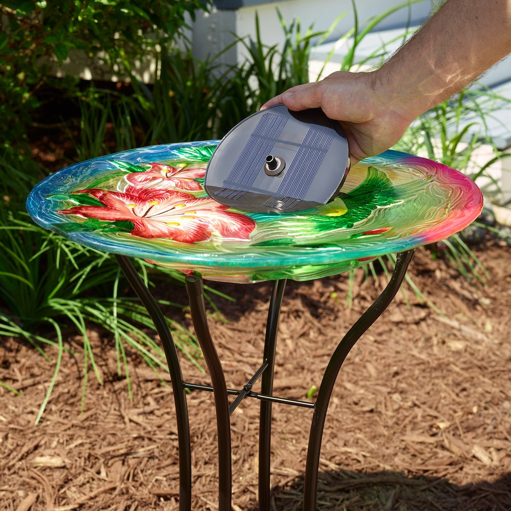 Aquanura Solar Mini Birdbath Kit