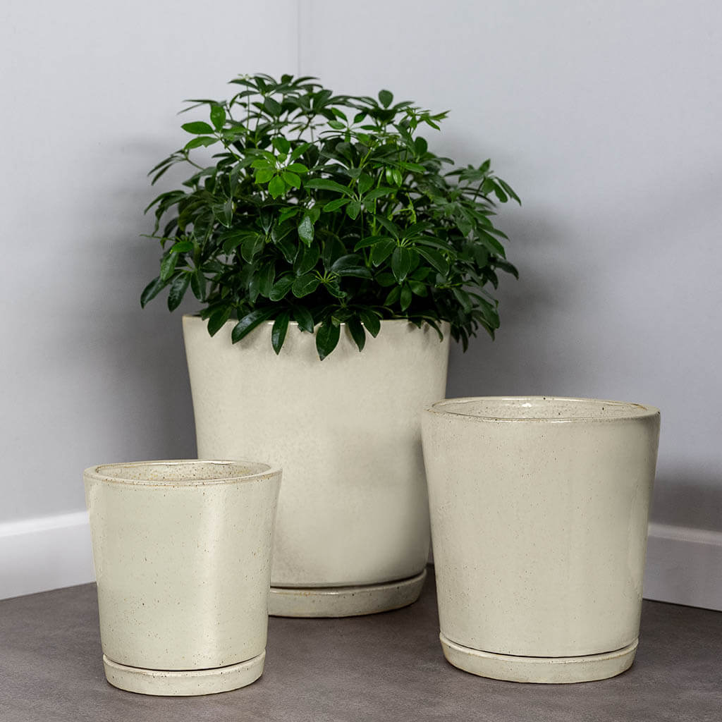 I/O Tapered Cylinder || Cream