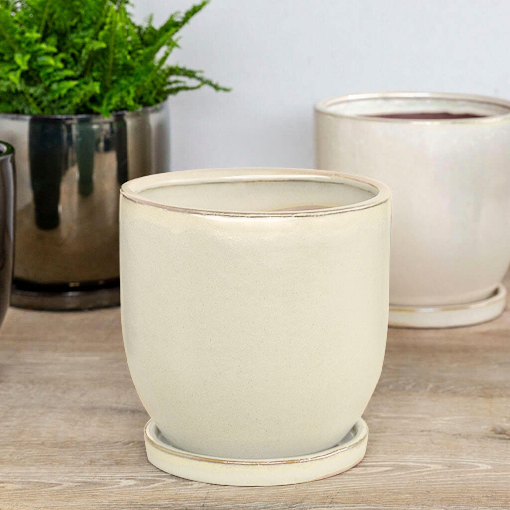 I/O Cup, Tall || Cream
