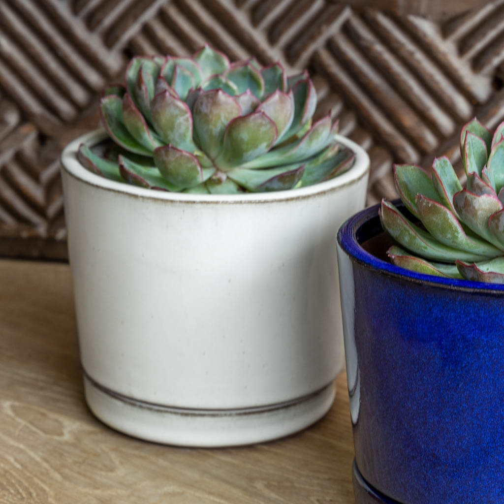 I/O Planter,  Low || White