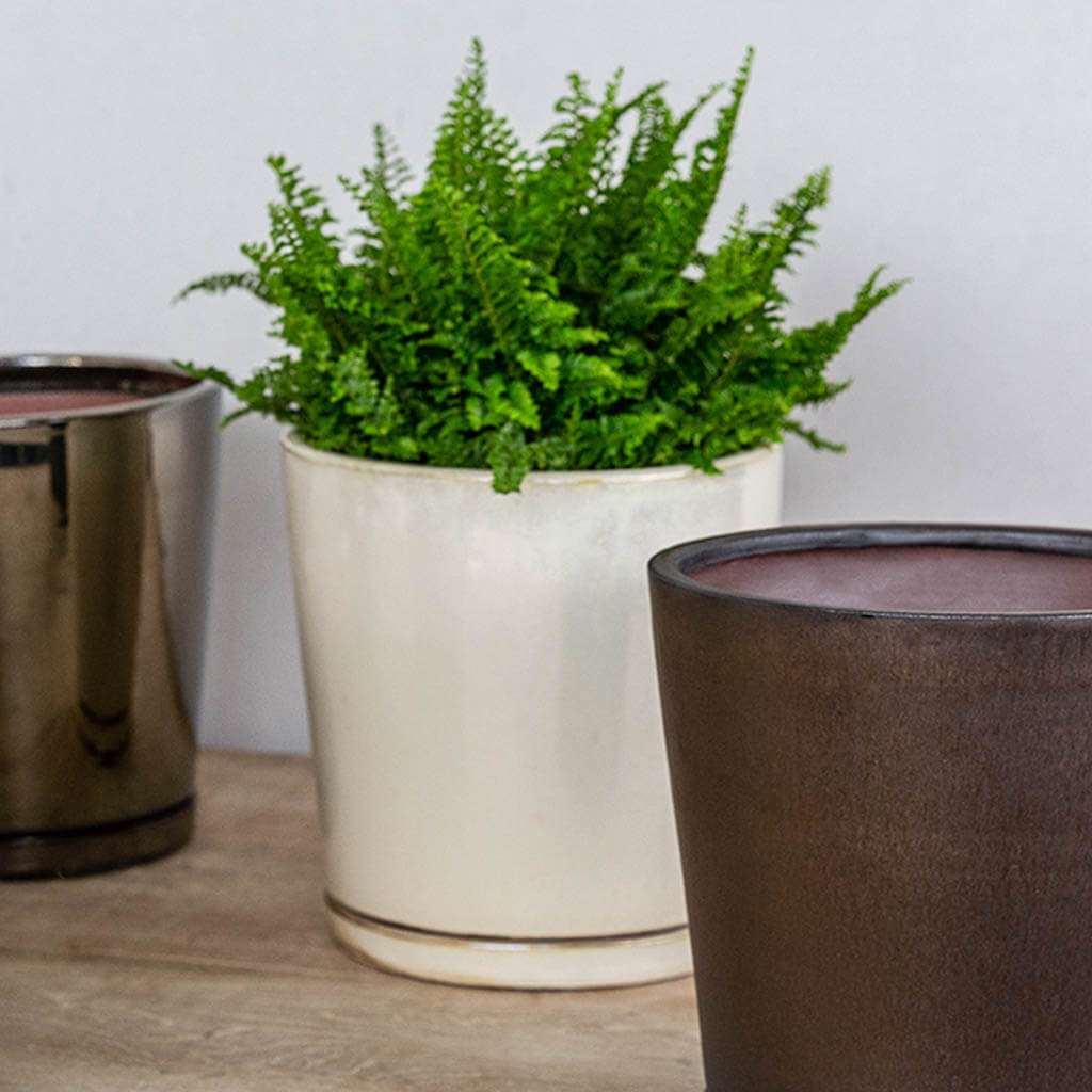 I/O Planter, Medium || Cream