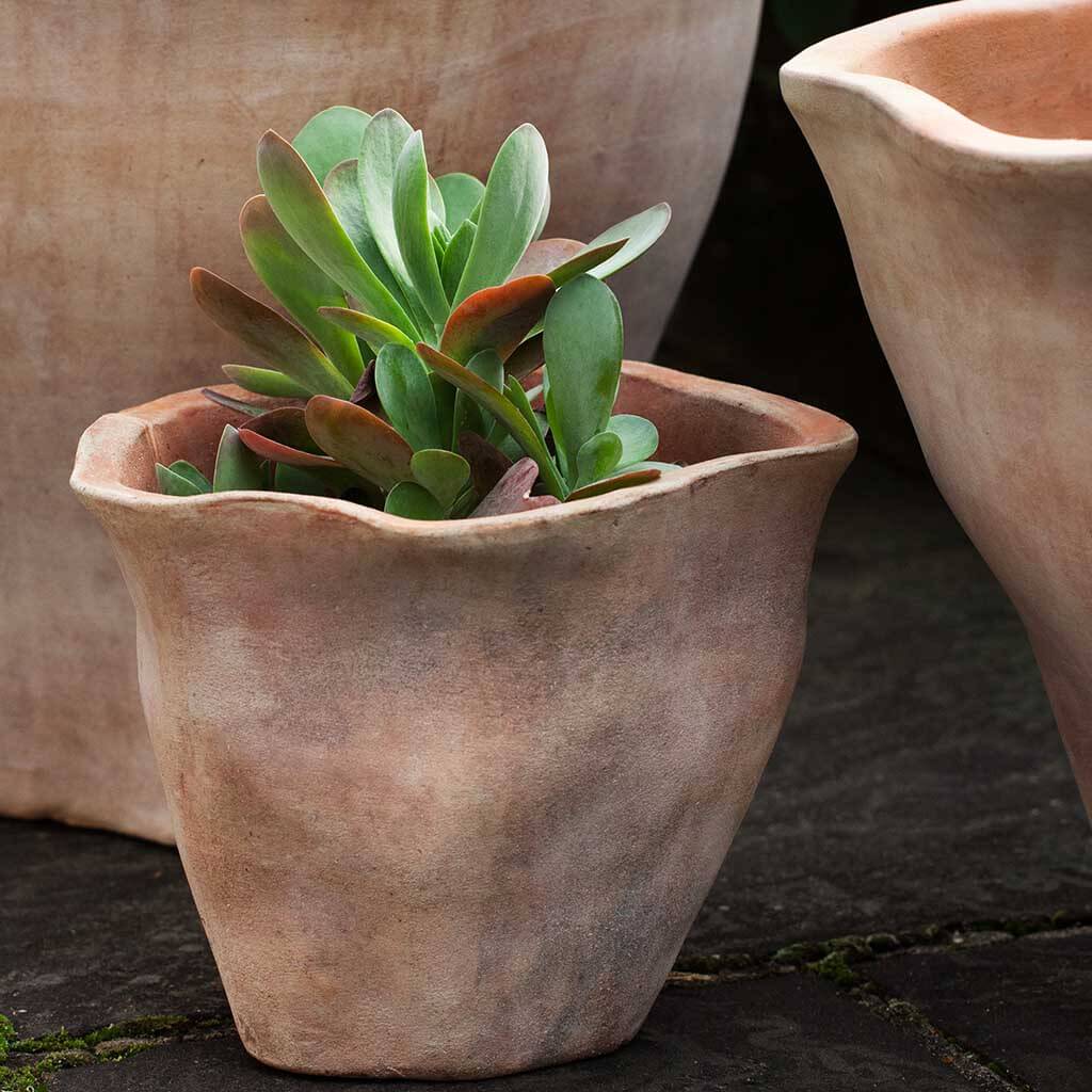 Foxglove Planter || Terra Cotta