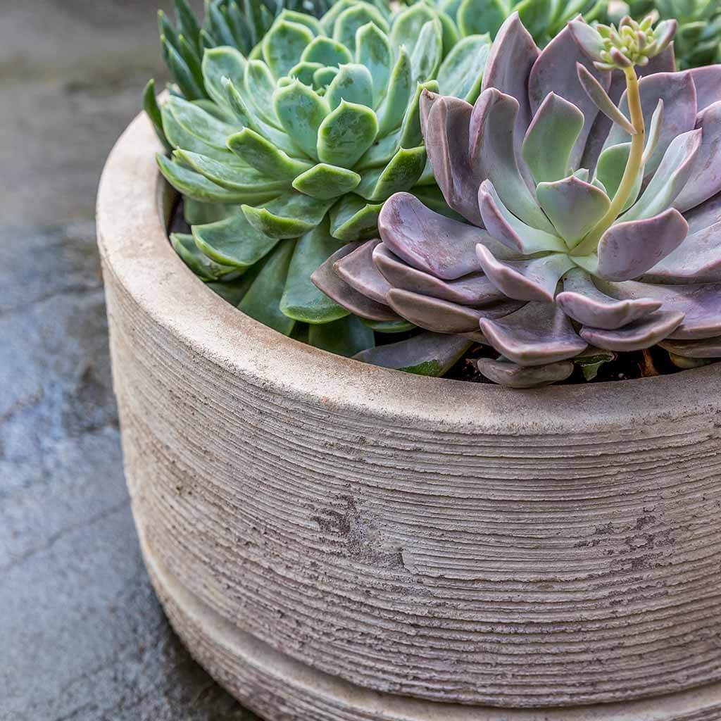 Sgraffito Planter, Low || Antico Terra Cotta