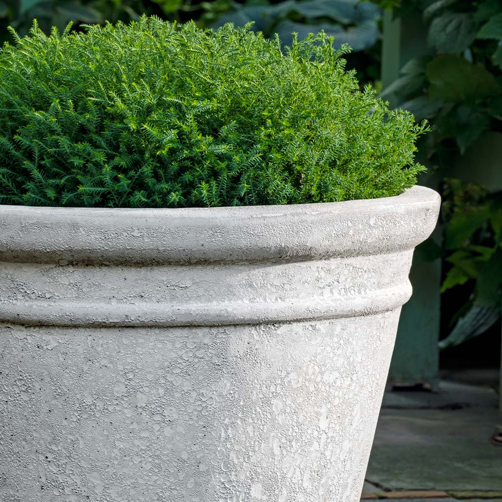 Marchand Planter || White Coral