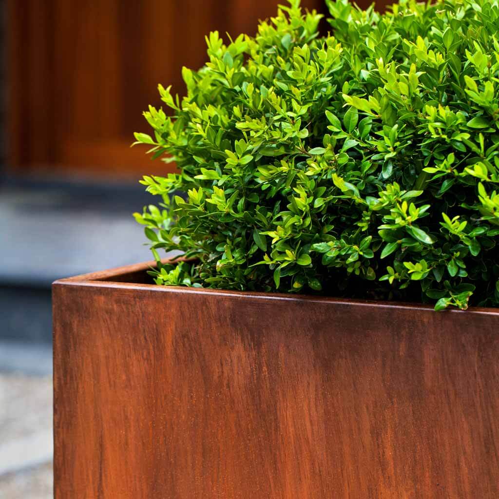 Steel Tall Cube Planter || Steel