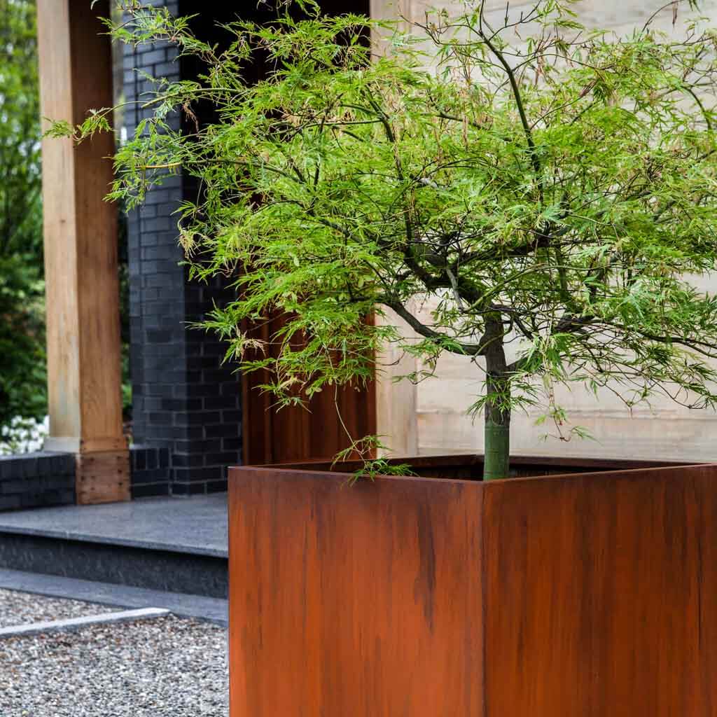 Steel Cube Planter || Steel