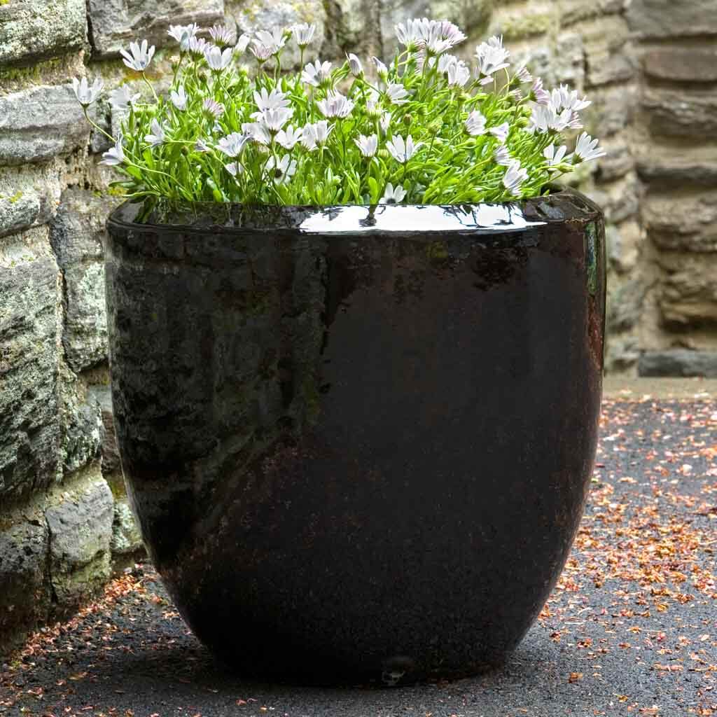 Timolos Planter || Cola
