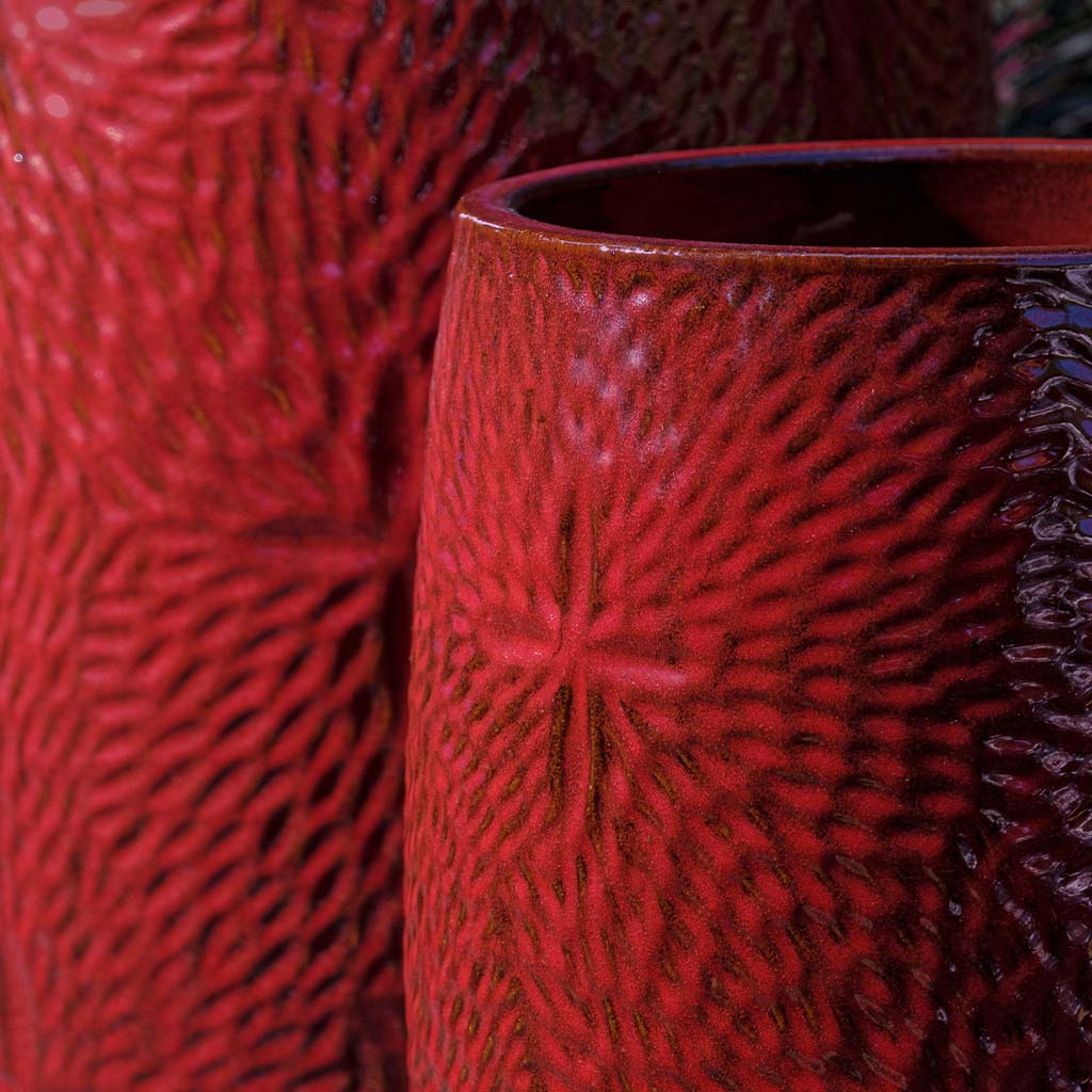 Sand Dollar Planter, Tall || Tropic Red