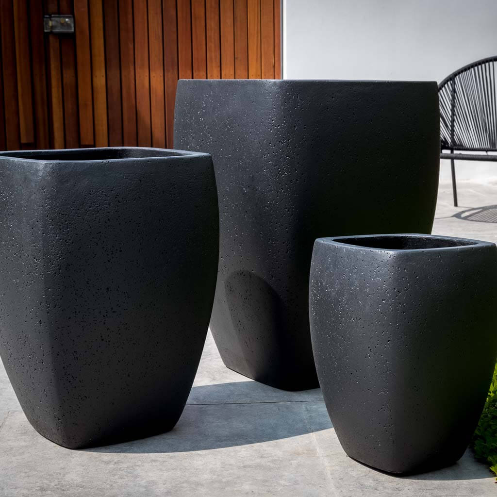 Cedros Planter || Playa Noche