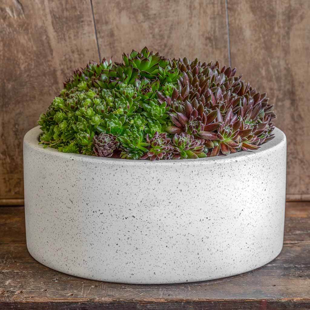 Geo Cylinder Planter || Terrazzo White