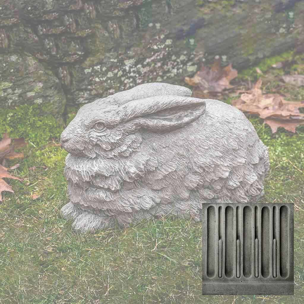 Flemish Hare