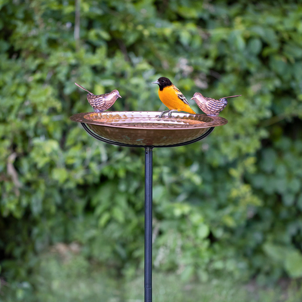 13.5-inch Copper Bird Bath with Birds on Garden Pole