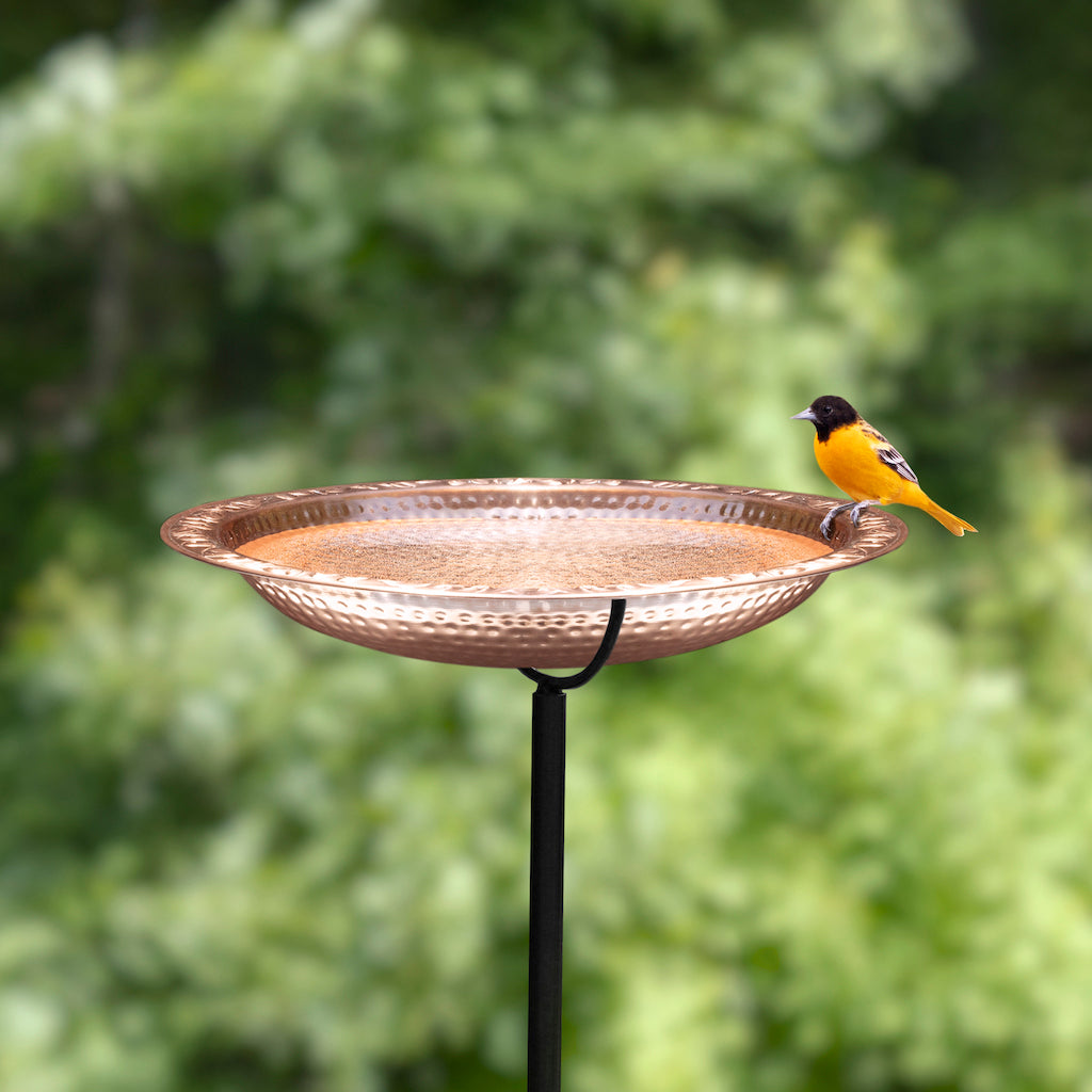Pure Copper 18" Birdbath on Garden Pole