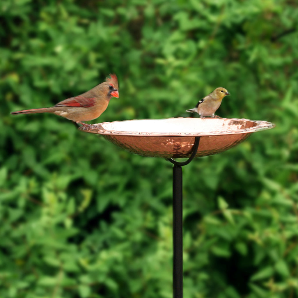 Pure Copper Birdbath on Garden Pole