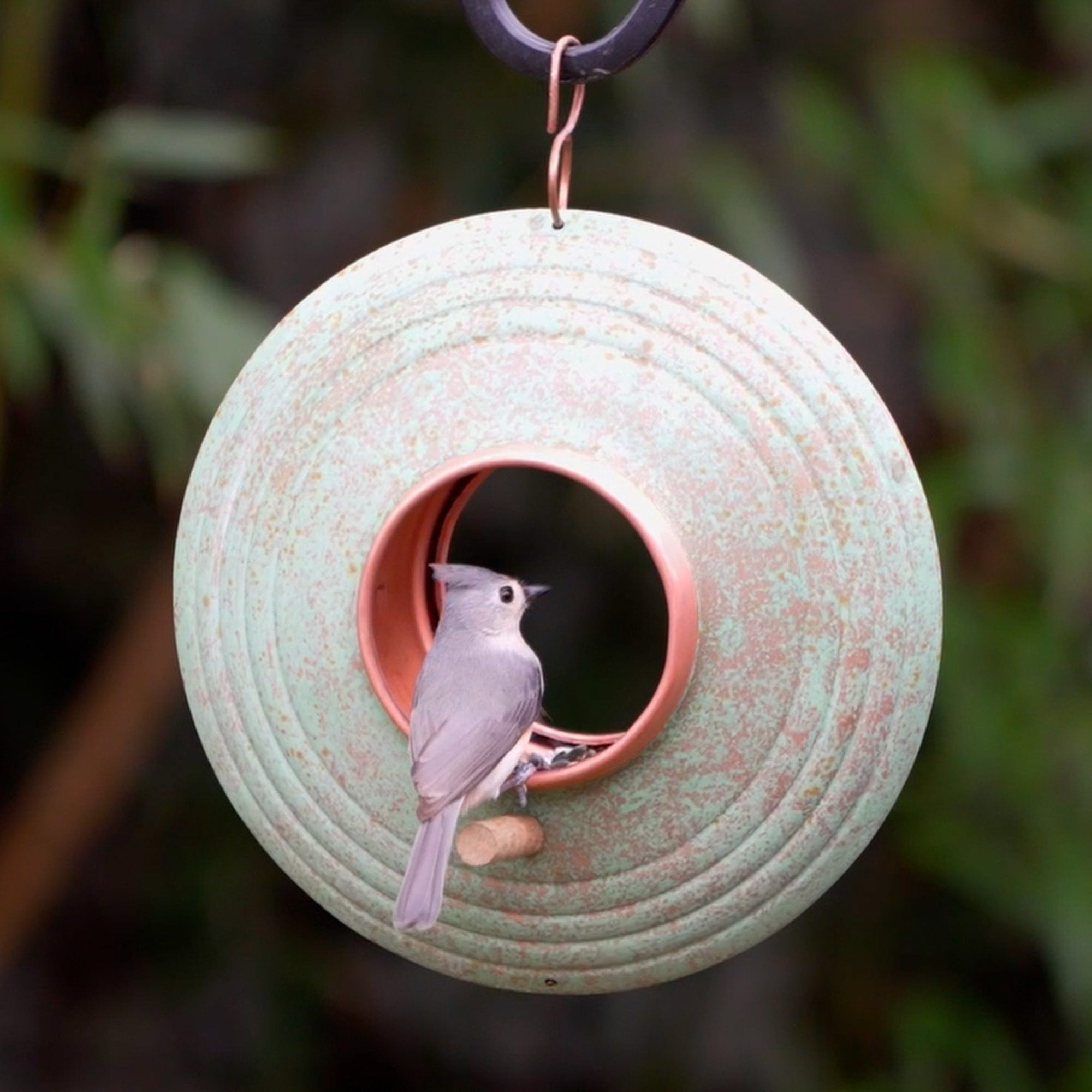 Verde Fly-Thru Bird Feeder
