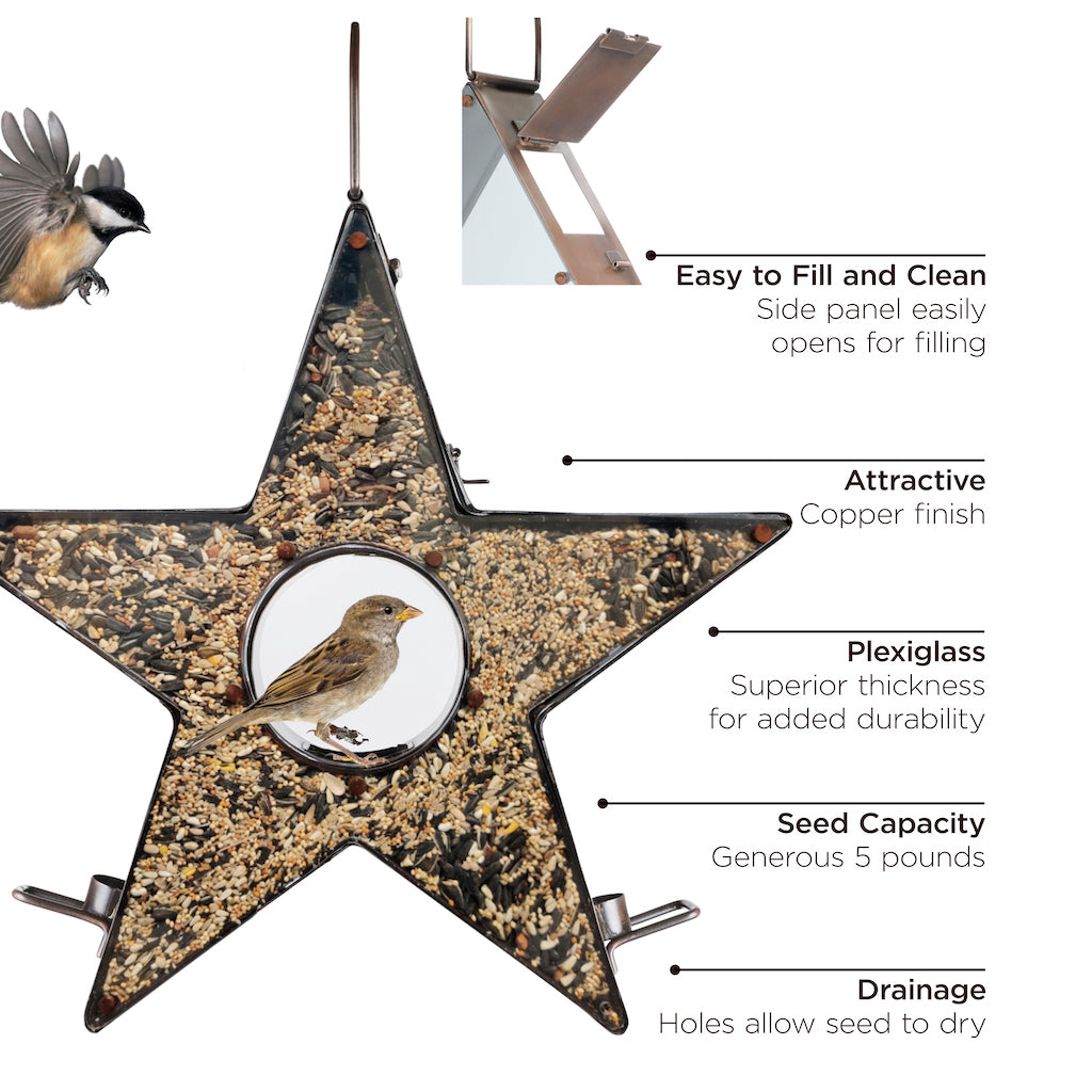 Star Fly-Thru Bird Feeder