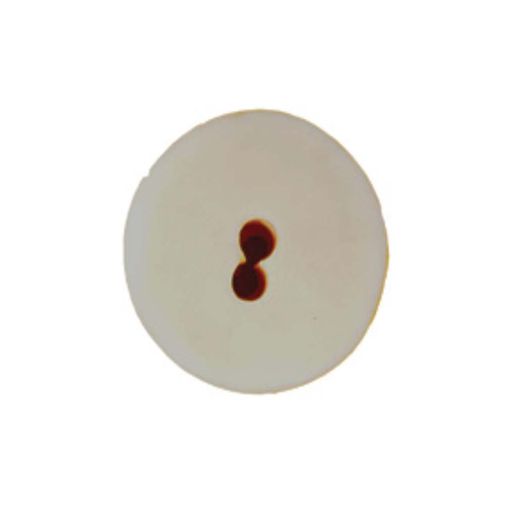 Campania #10 Double Hole Stopper for Fountains