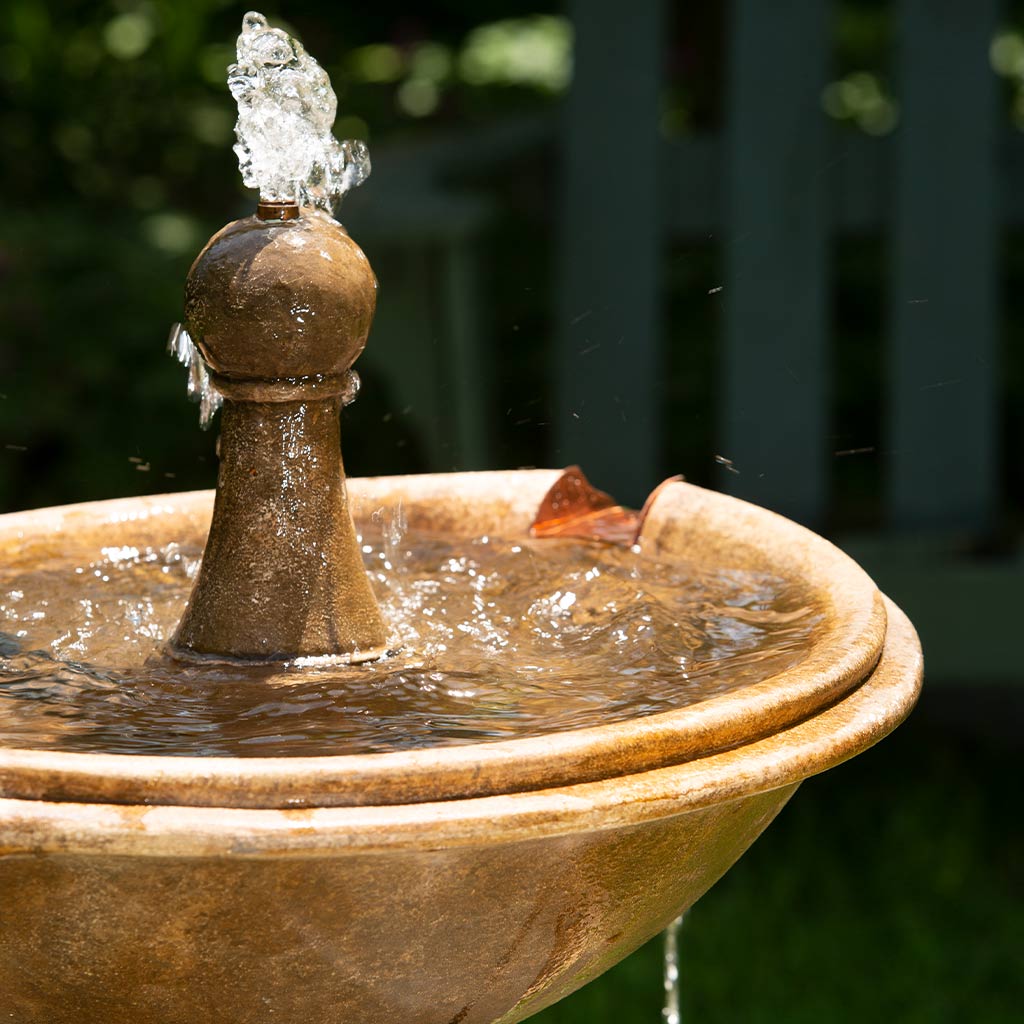 Borghese in Basin Fountain