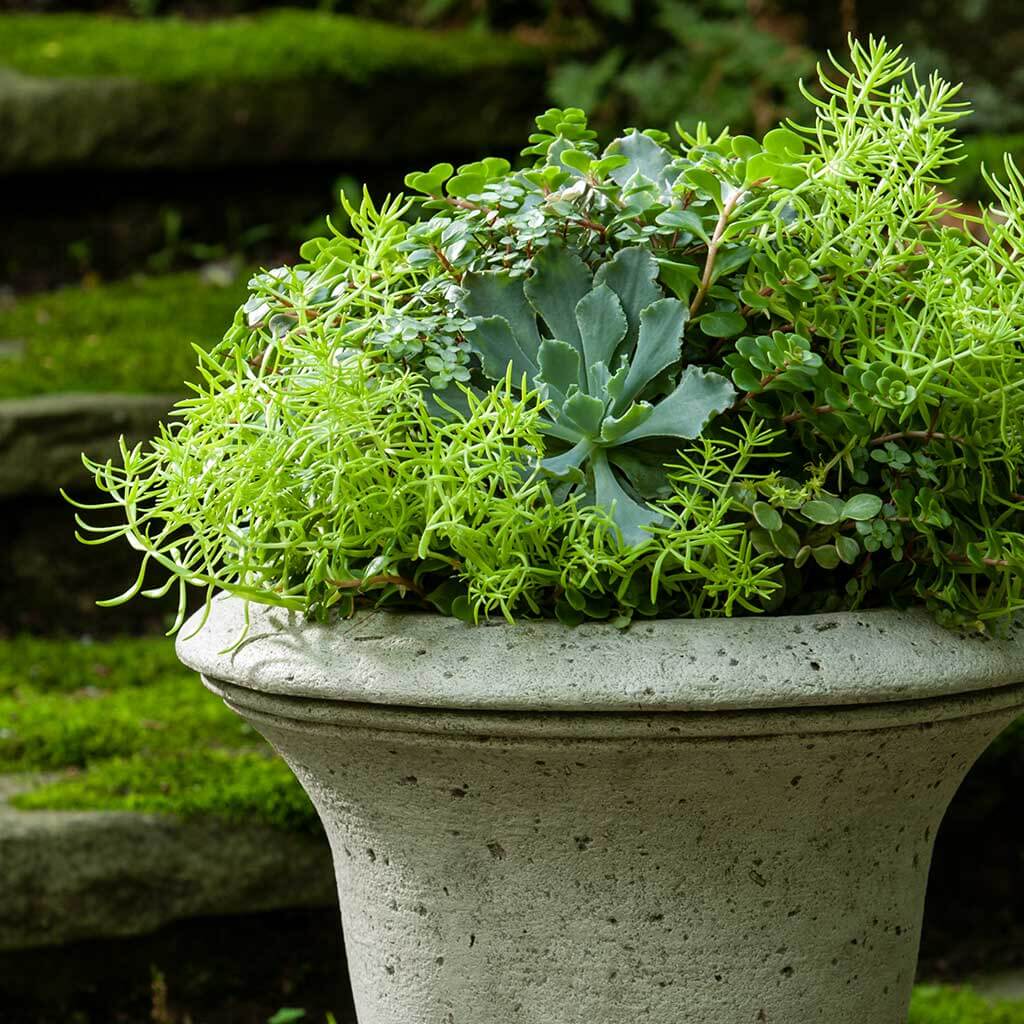 Linwood Urn