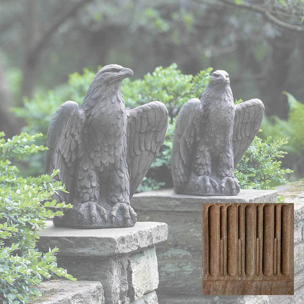 Eagle Looking Left and Right