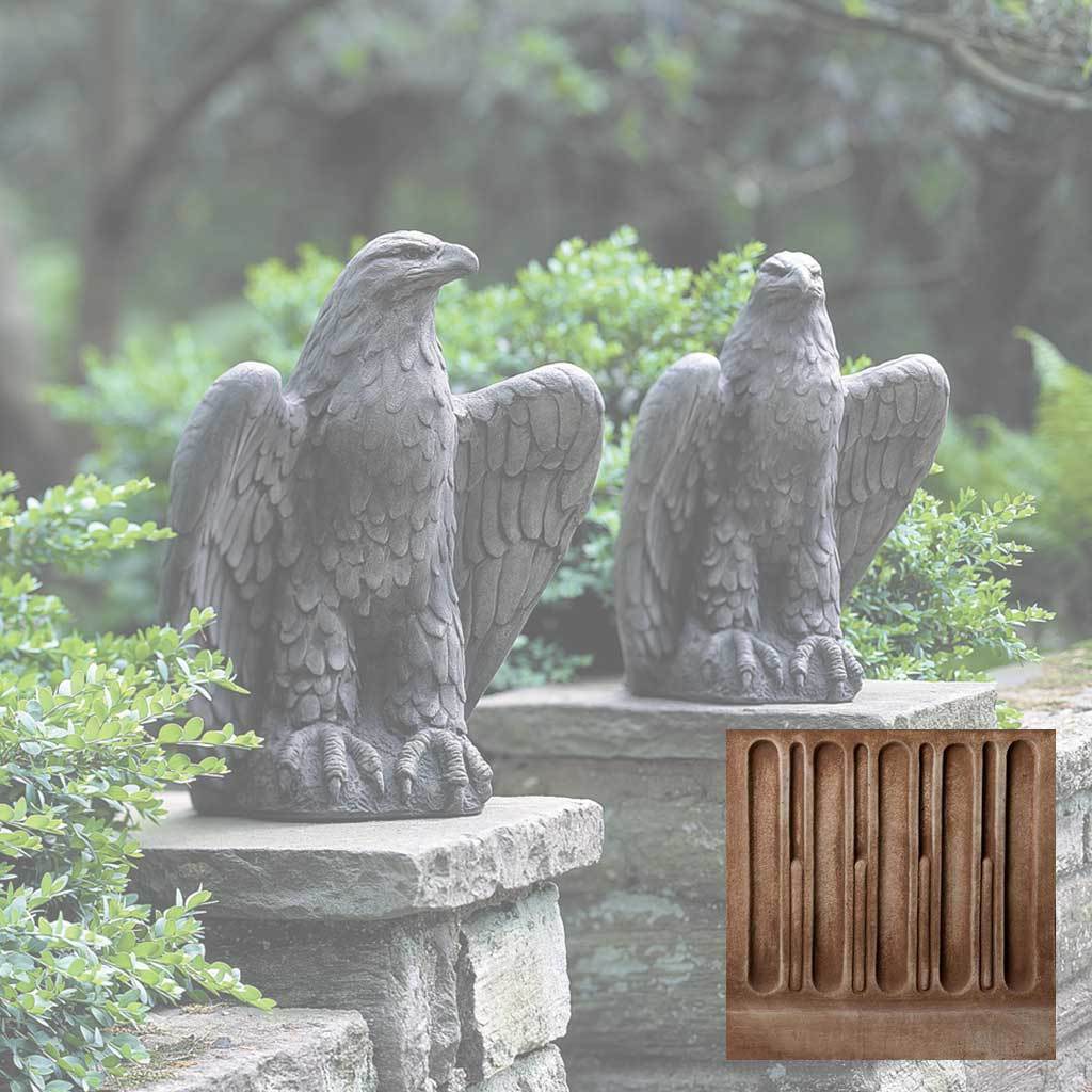 Eagle Looking Left and Right