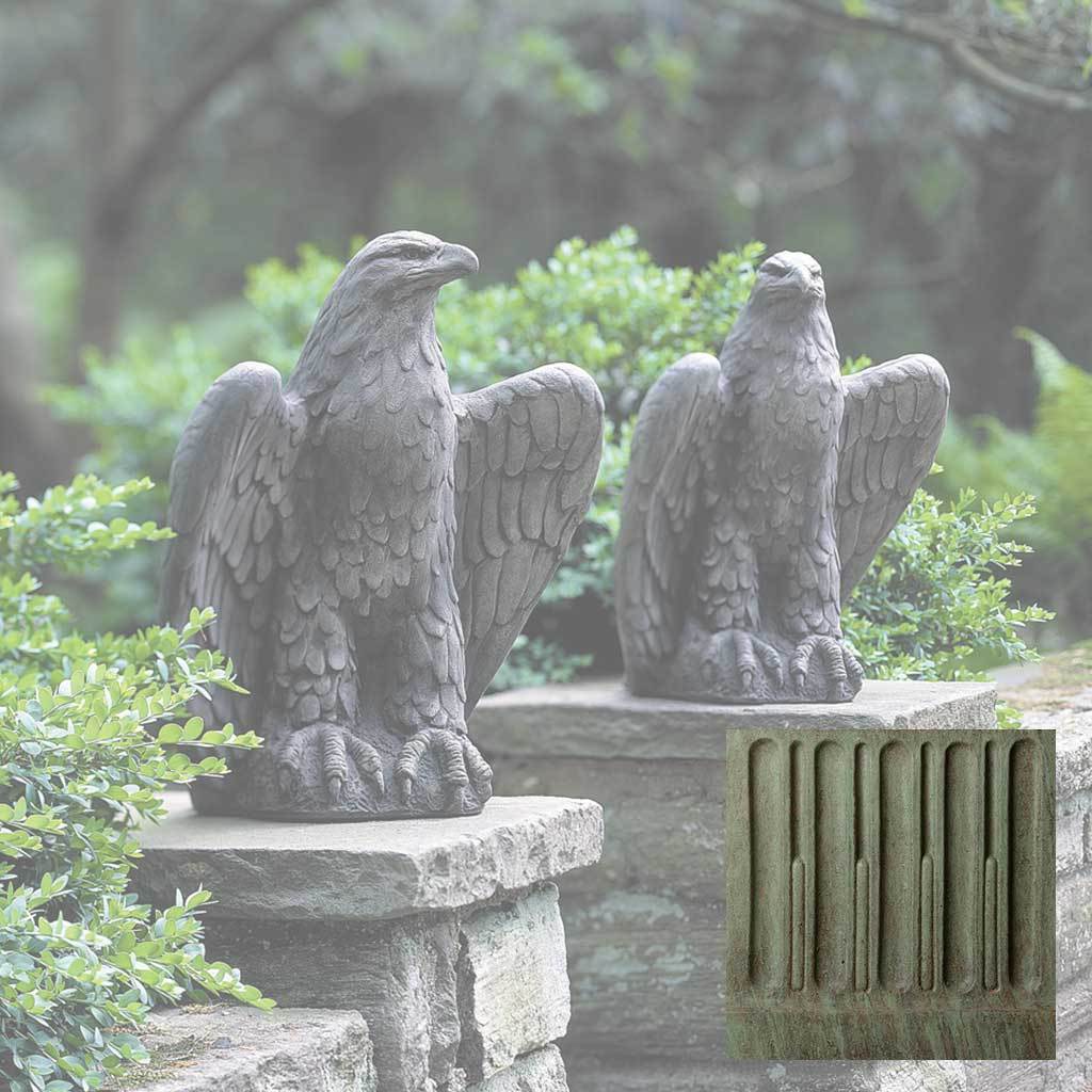 Eagle Looking Left and Right