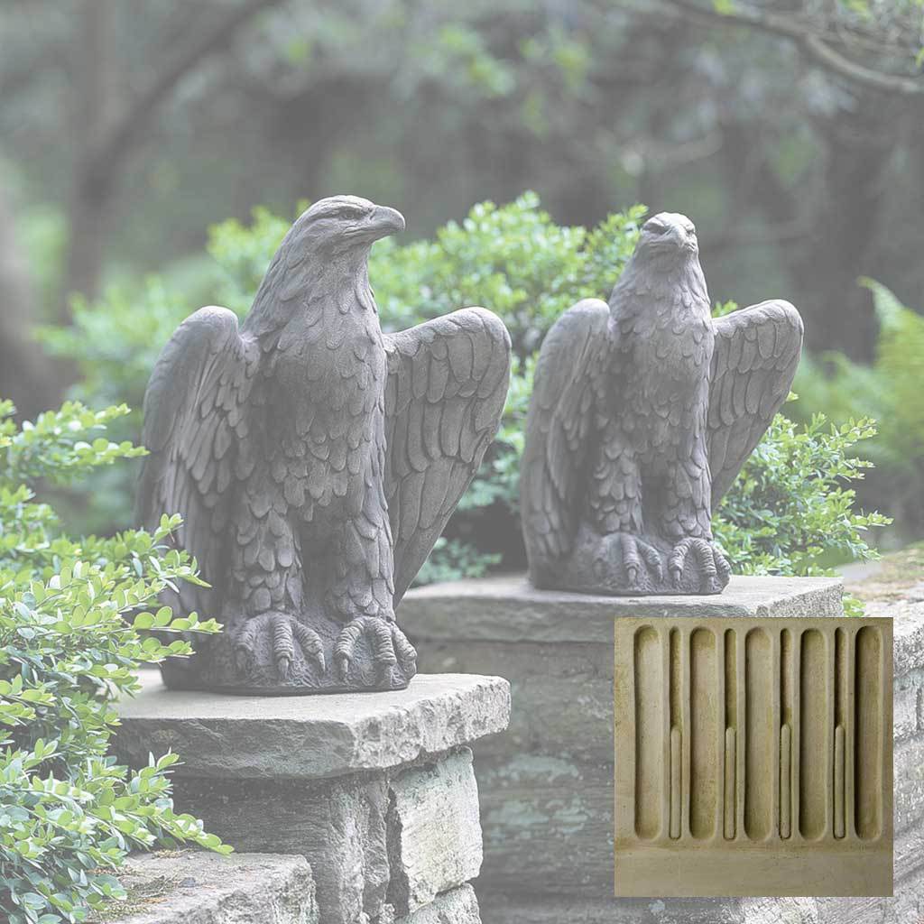 Eagle Looking Left and Right