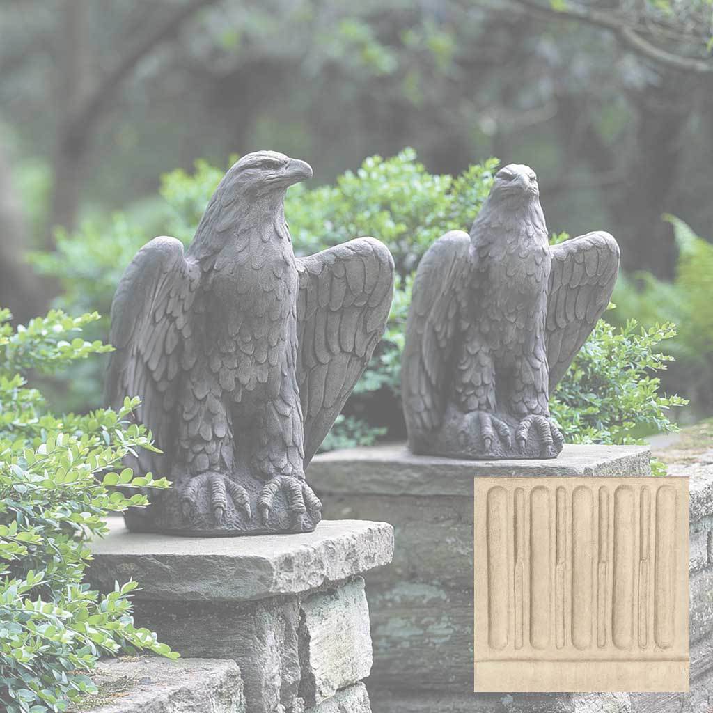 Eagle Looking Left and Right