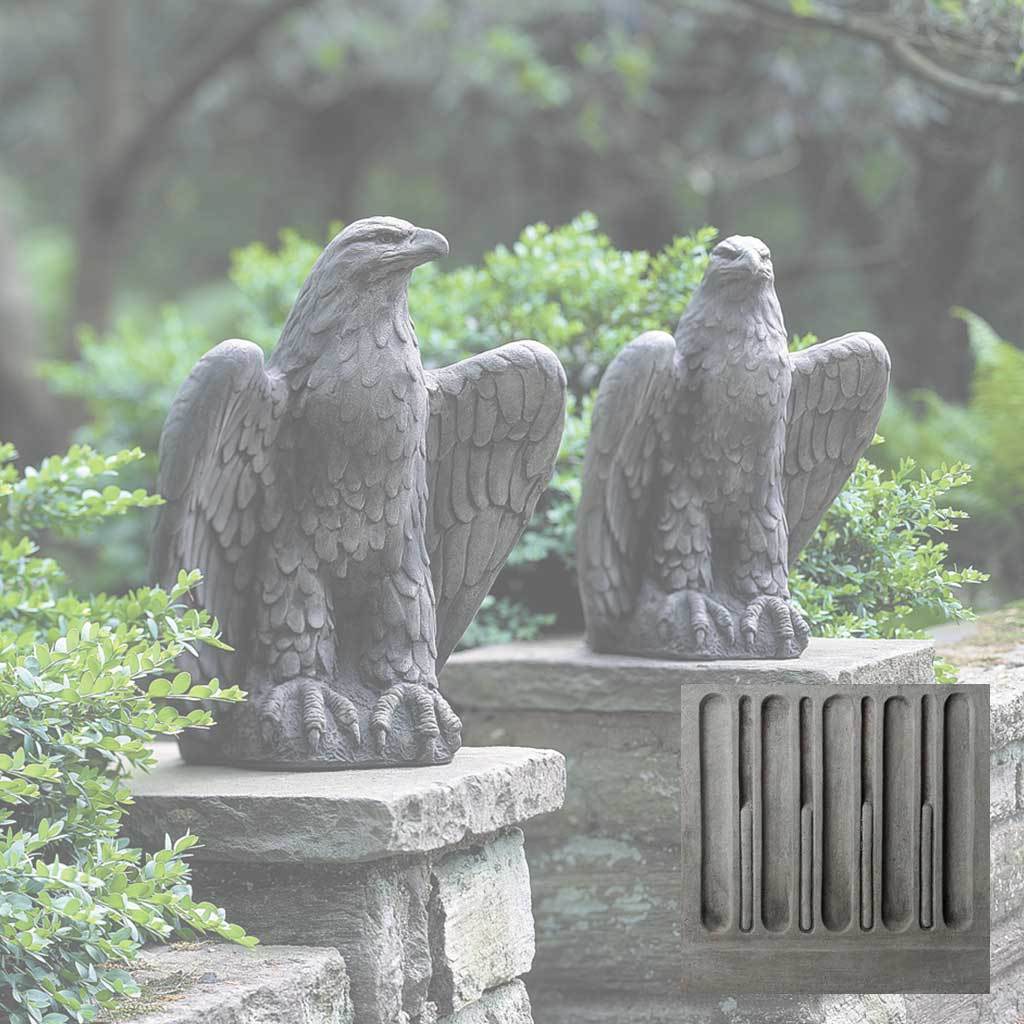 Eagle Looking Left and Right