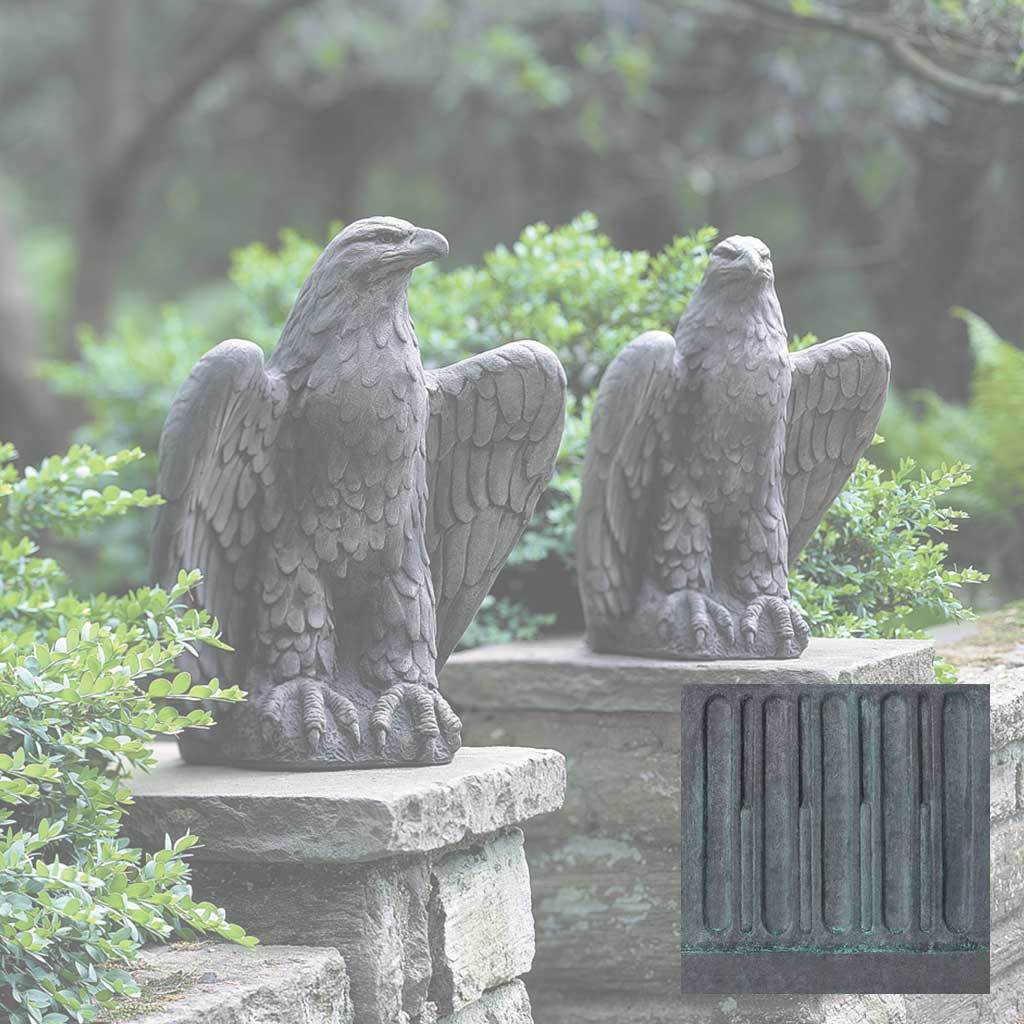 Eagle Looking Left and Right