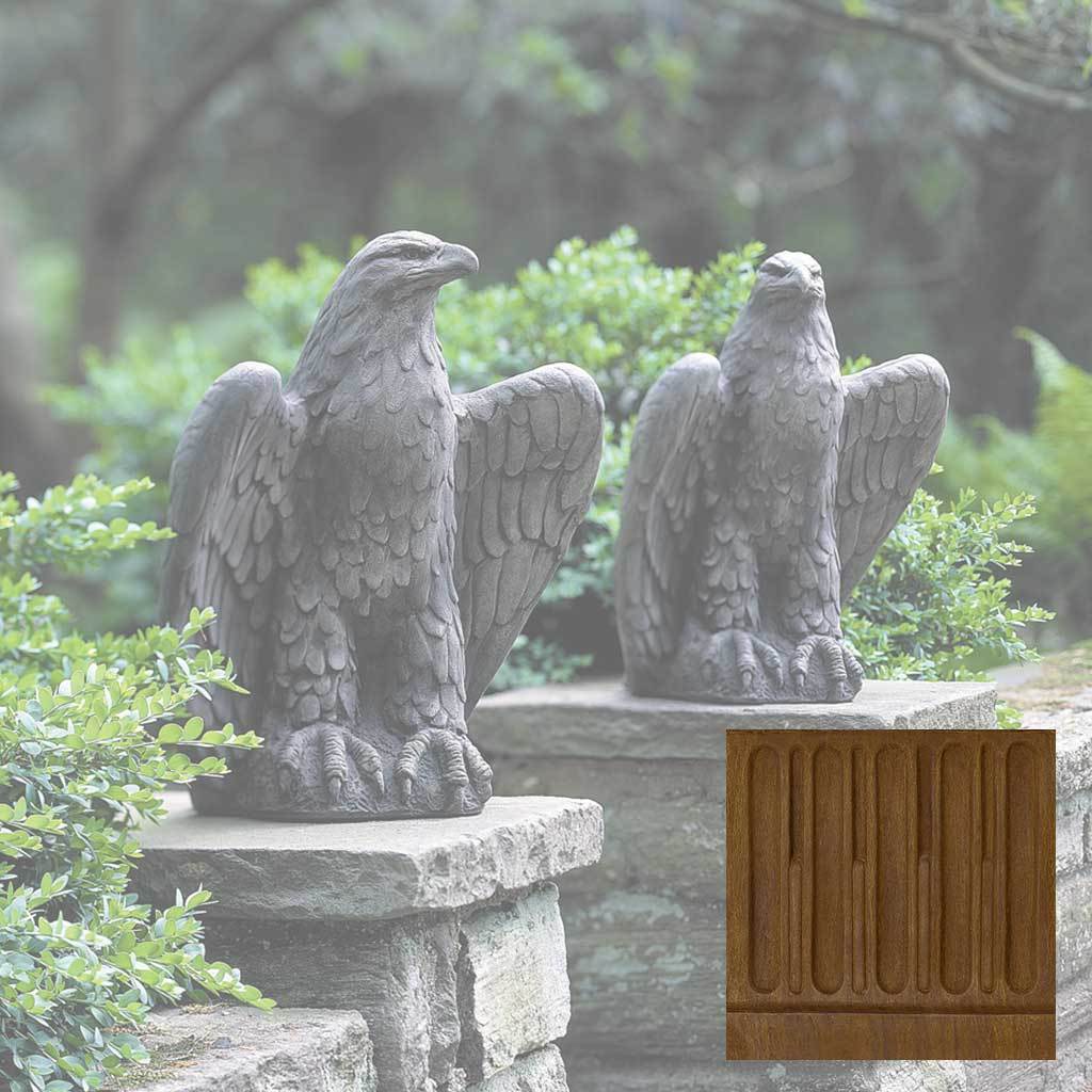 Eagle Looking Left and Right
