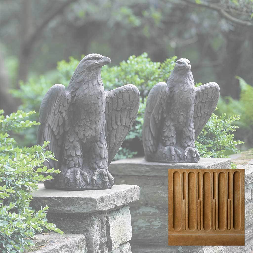 Eagle Looking Left and Right