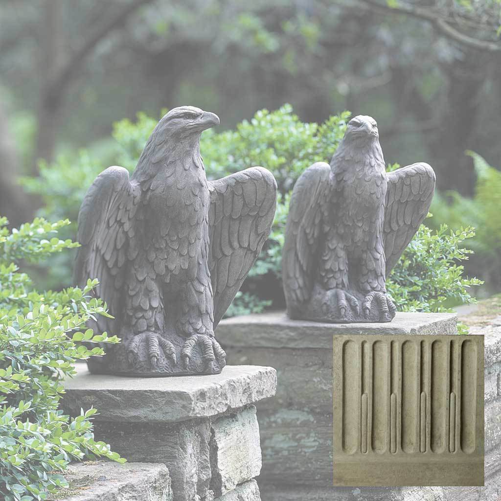 Eagle Looking Left and Right