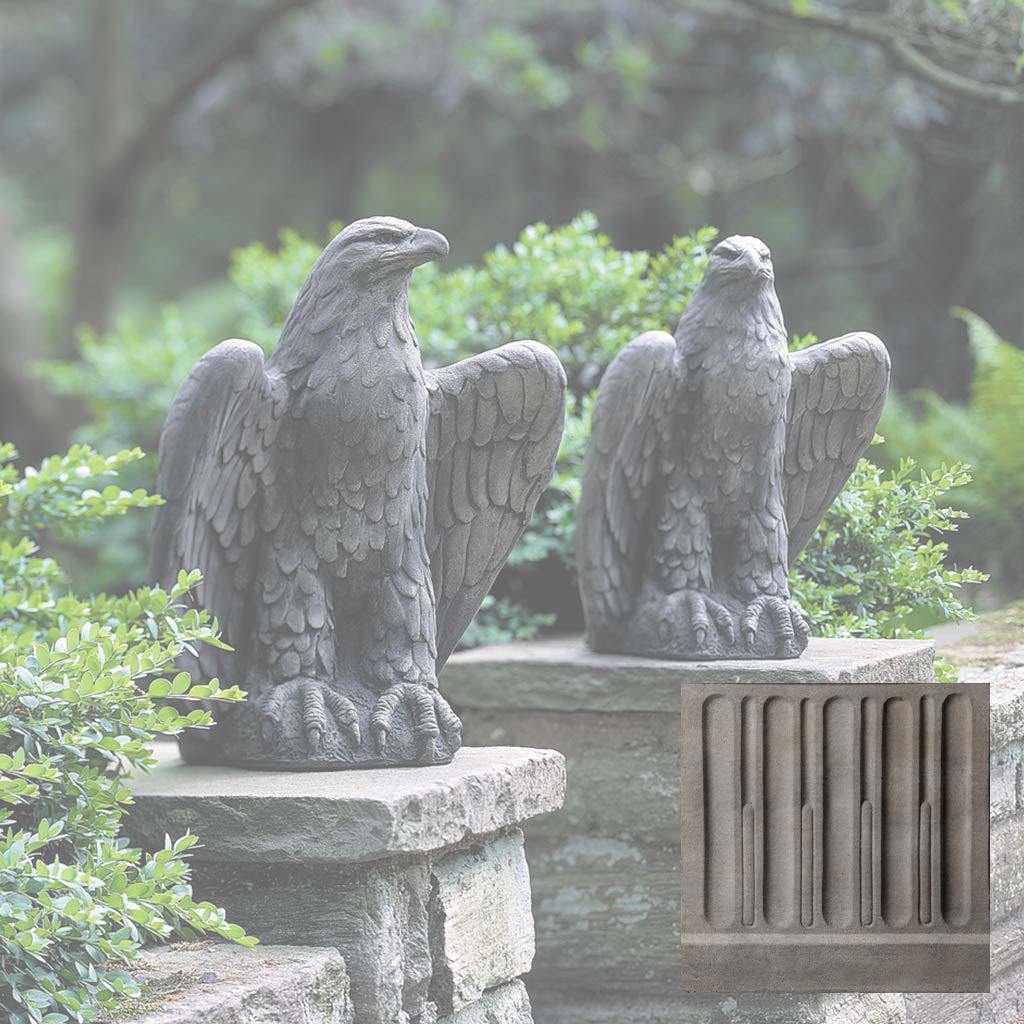 Eagle Looking Left and Right