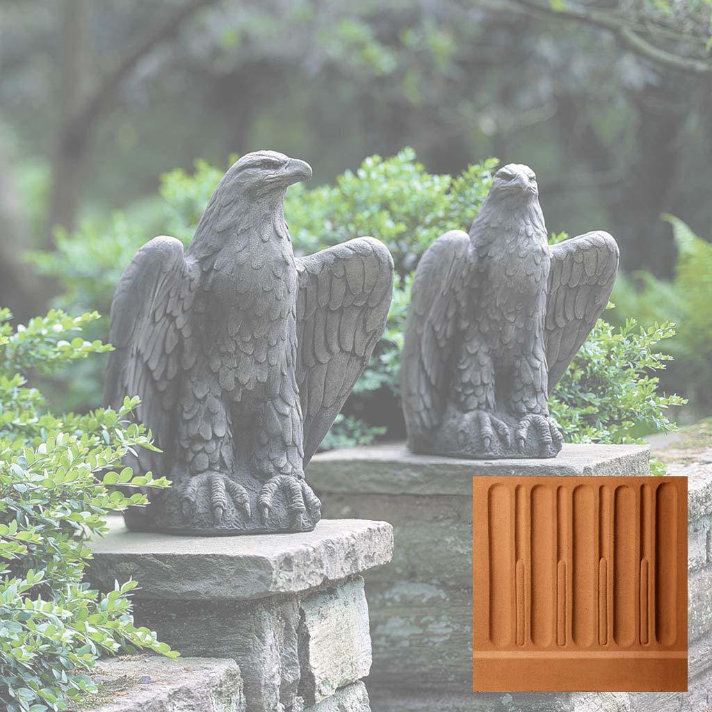 Eagle Looking Left and Right
