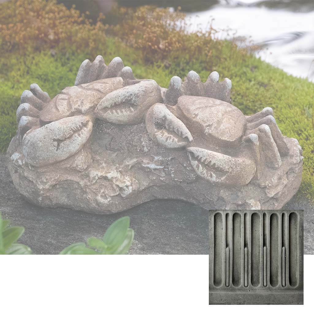 Sea Crab Fossil