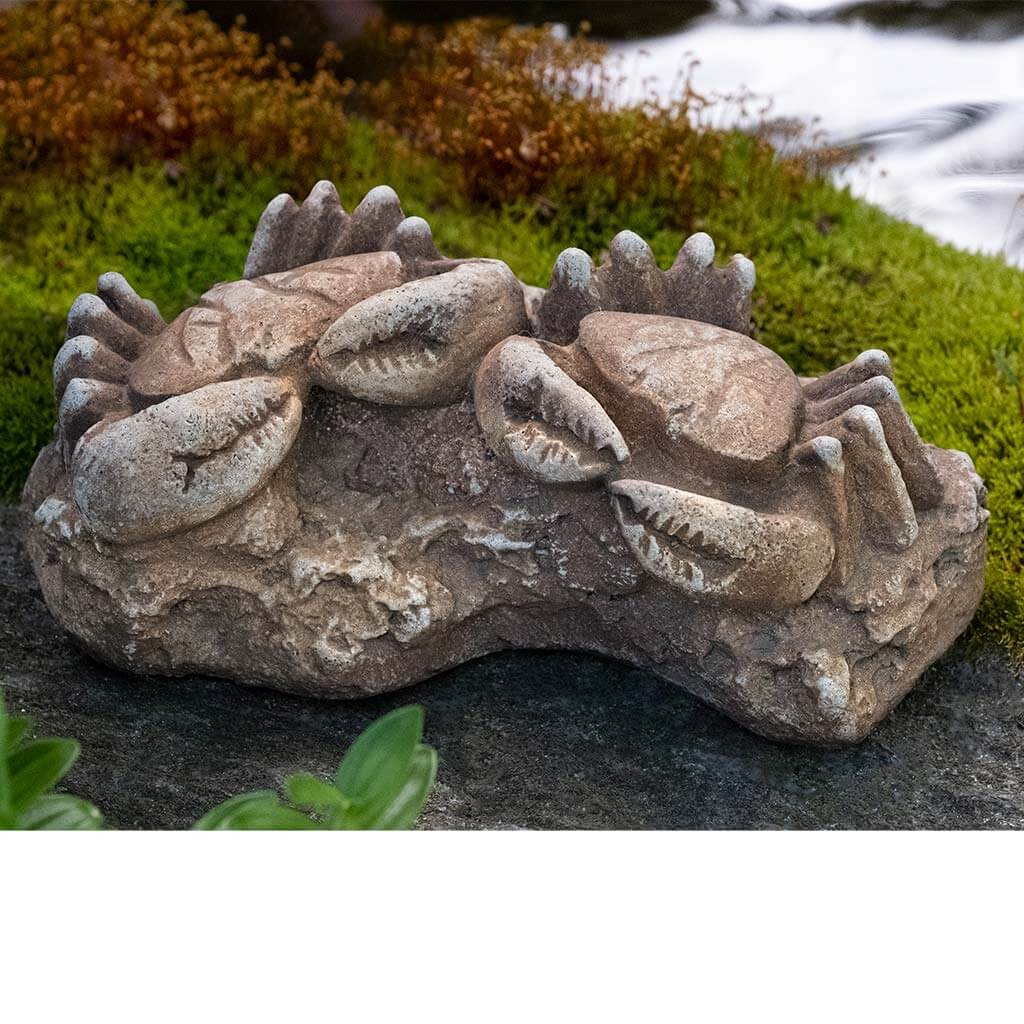 Sea Crab Fossil