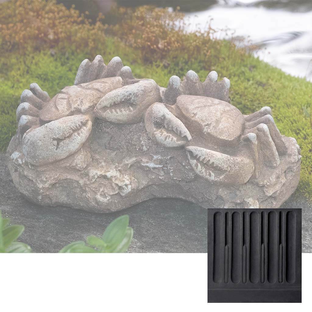 Sea Crab Fossil