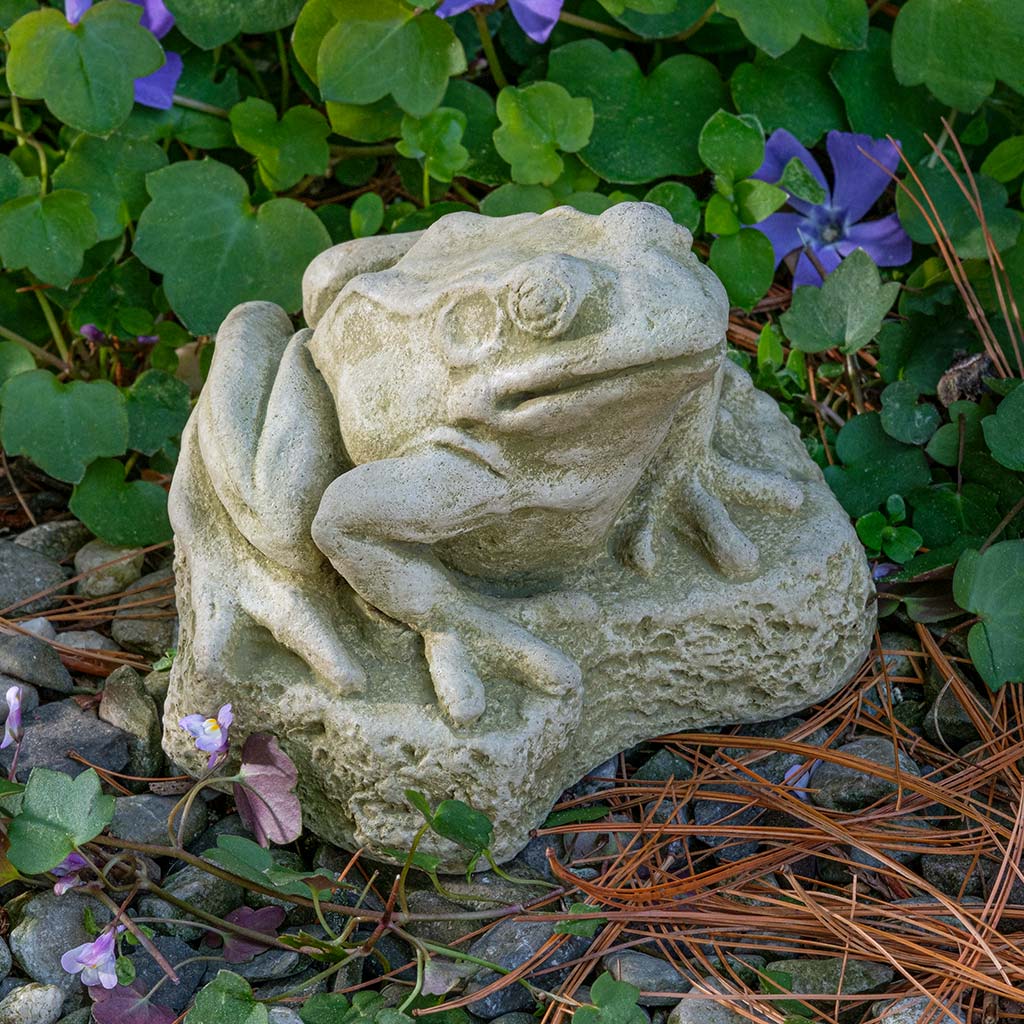 Forest Frog