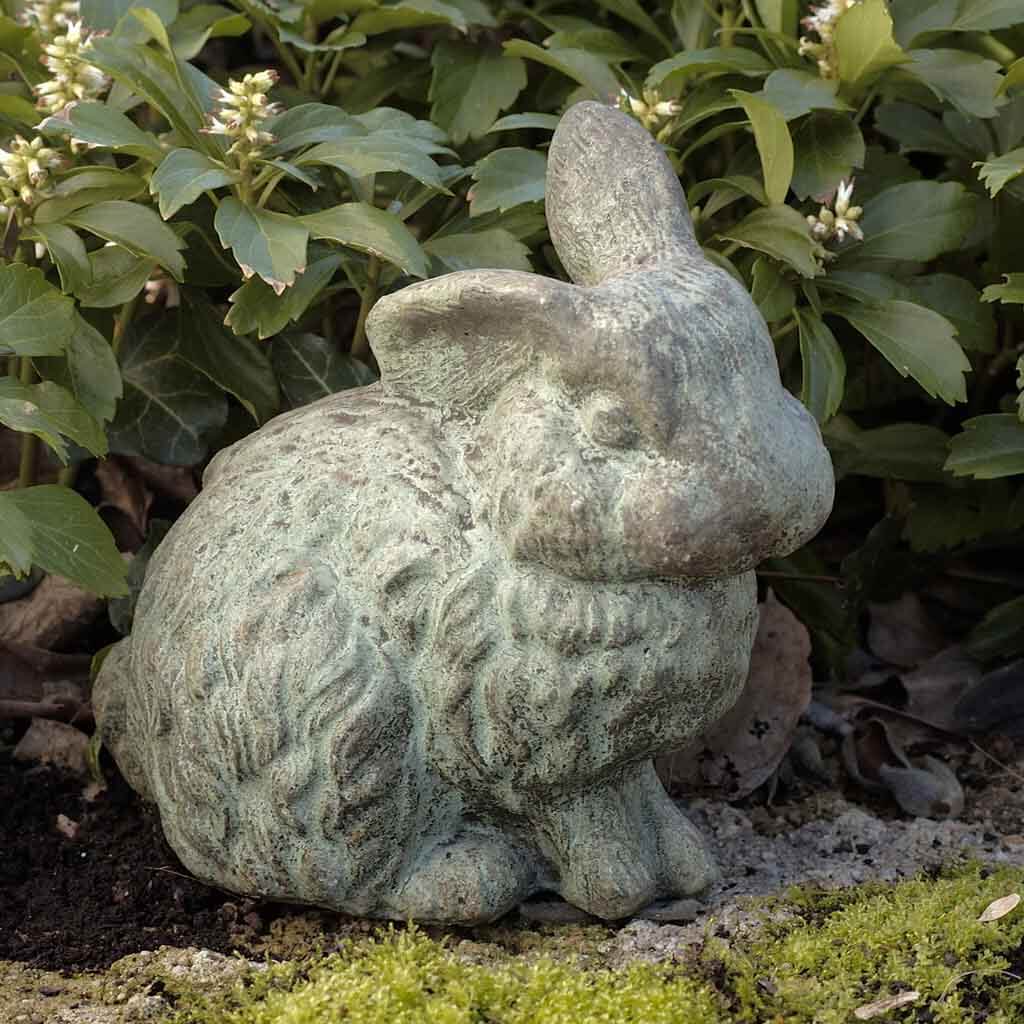 Rabbit With - 1 Ear Up