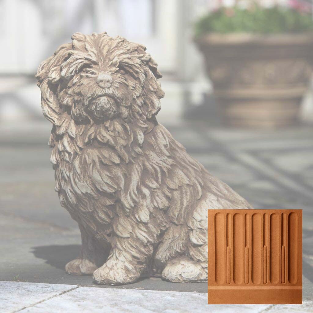 Fluffy Dog