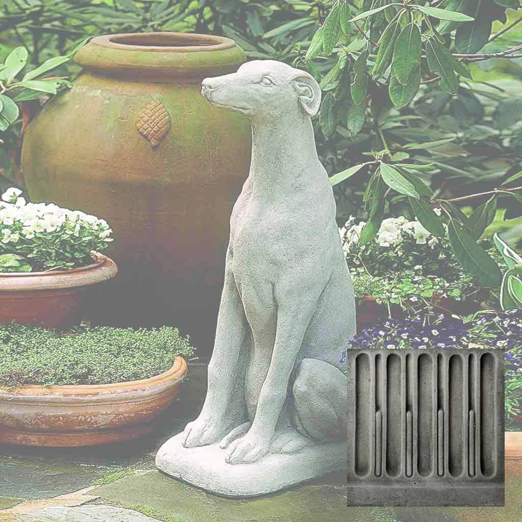 Greyhound